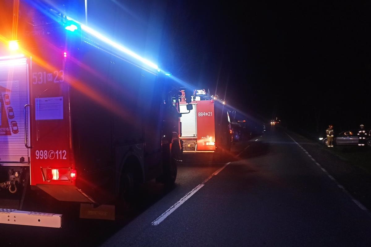 Pomiechówek. Łoś wyskoczył na jezdnię powodując zderzenie dwóch aut. Dwie osoby trafiły do szpitala