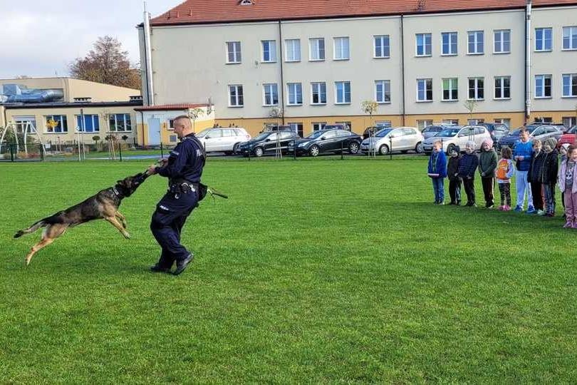 Zakroczym. Policjant ze swoim owczarkiem belgijskim odwiedzili dzieci w SP im. Pomnik Wdzięczności