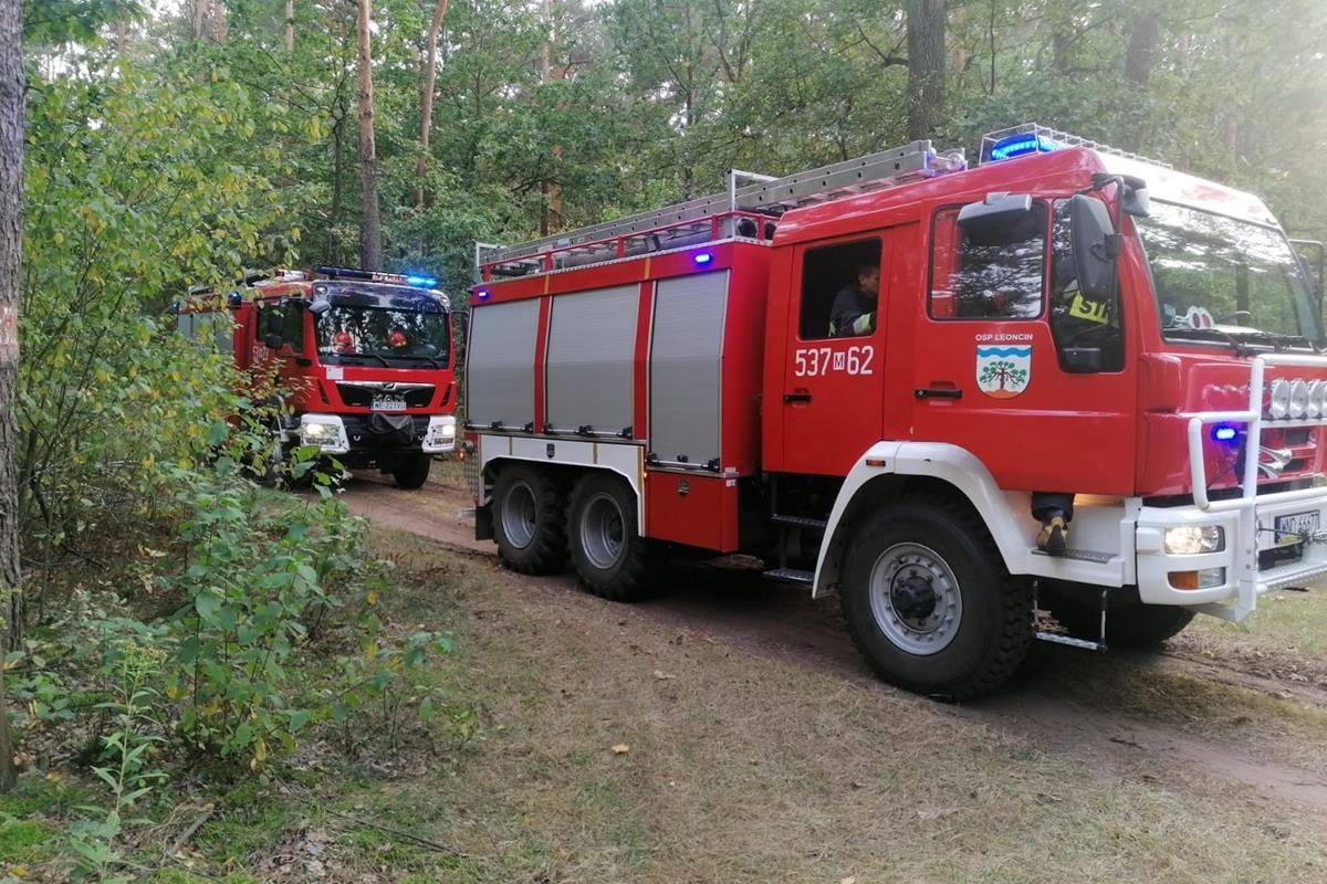 Czosnów/Leoncin. Dwa pożary na terenie Kampinoskiego Parku Narodowego. Przyczyną nielegalne ognisko i podpalenie?