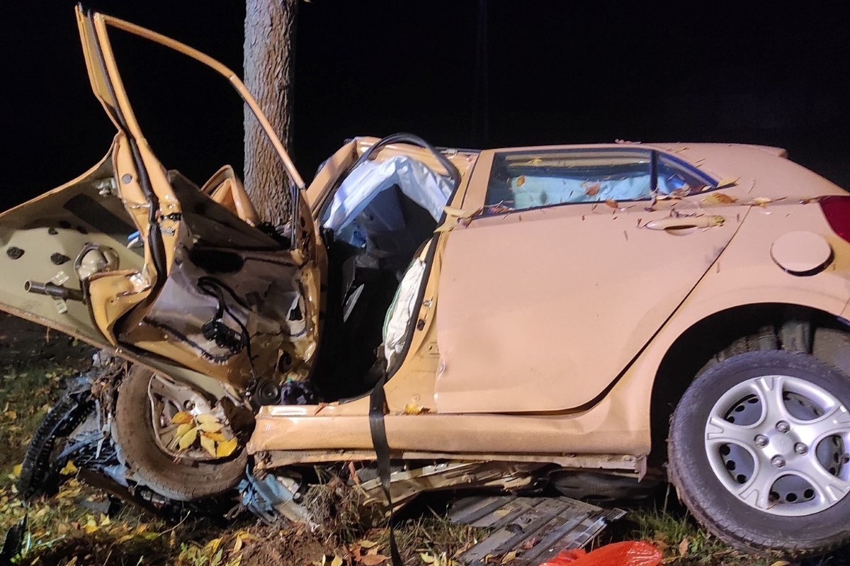 Nasielsk. W Mokrzycach Włościańskich 23-latka zjechała z drogi do rowu i uderzyła w drzewo. Dziewczyna trafiła do szpitala