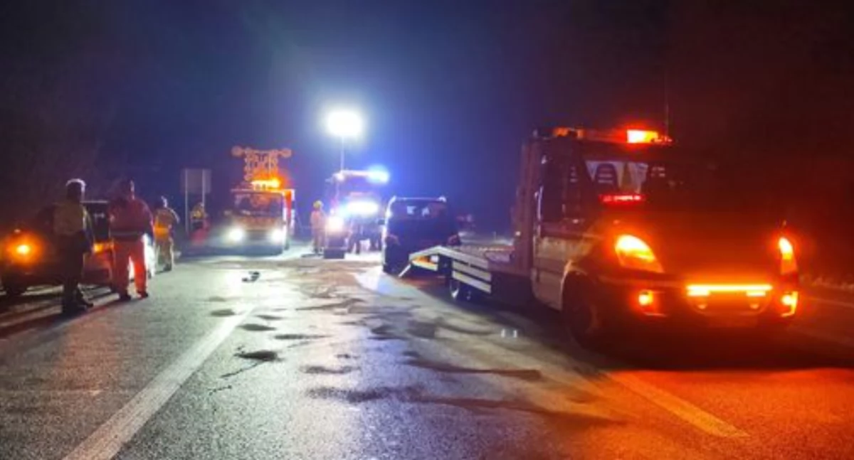 Nowy Dwór Mazowiecki: Kolizja na DK62 z udziałem dzika 