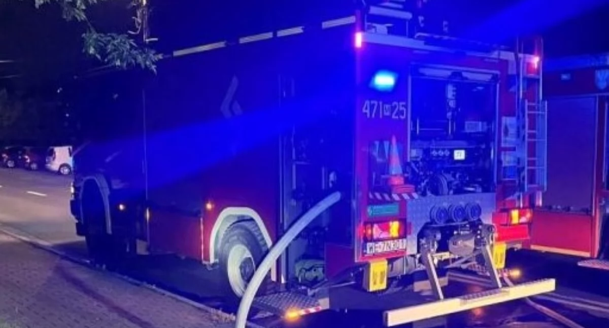 Leoncin. Pożar tui na posesji przy Partyzantów. Ogień ugasili druhowie z OSP Leoncin