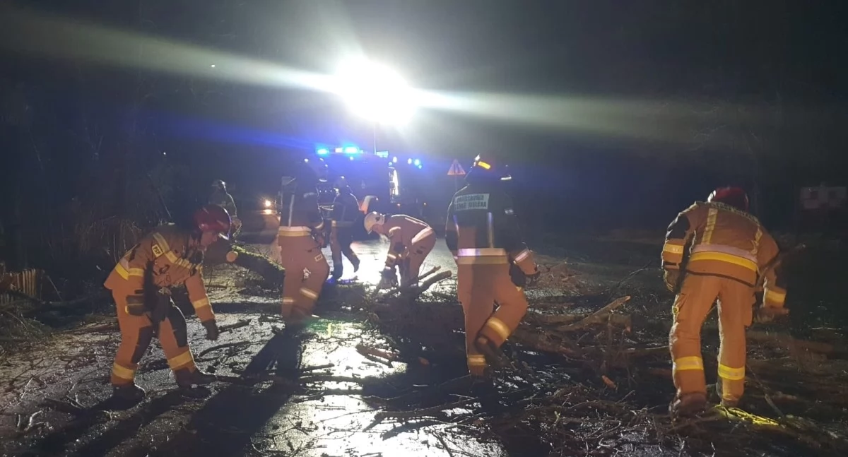 Leoncin. W Starej Dąbrowie kierowca Opla uderzył w drzewo, które przewróciło się na drogę. Interweniowały służby ratownicze