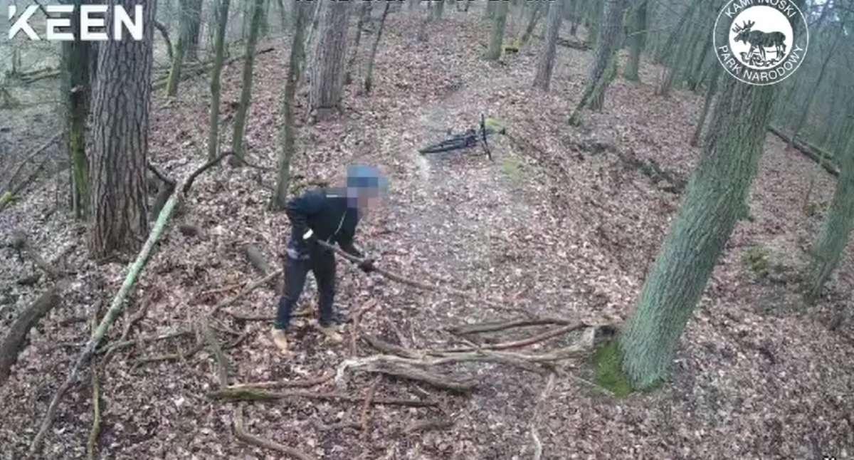 Nielegalny rajd rowerowy w Kampinoskim Parku Narodowym – mandat i konsekwencje (wideo w artykule)