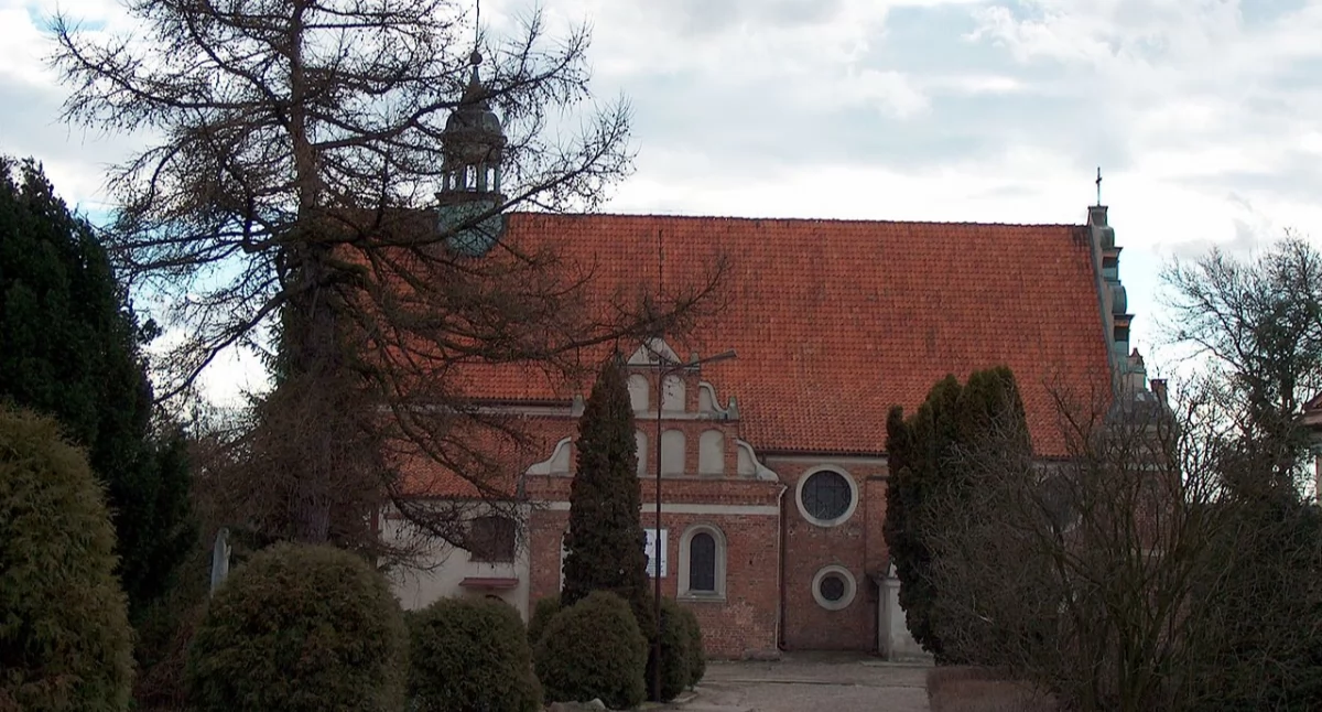 Nasza interwencja: Kości ujawnione w trakcie odwadniania fundamentów kościoła w Zakroczymiu. To pozostałości dawnego cmentarza 