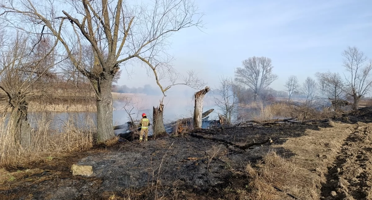Czosnów. Dwa pożary traw i nieużytków w Łomnej. Łącznie spłonęło około 3000 m2 powierzchni i kilka drzew