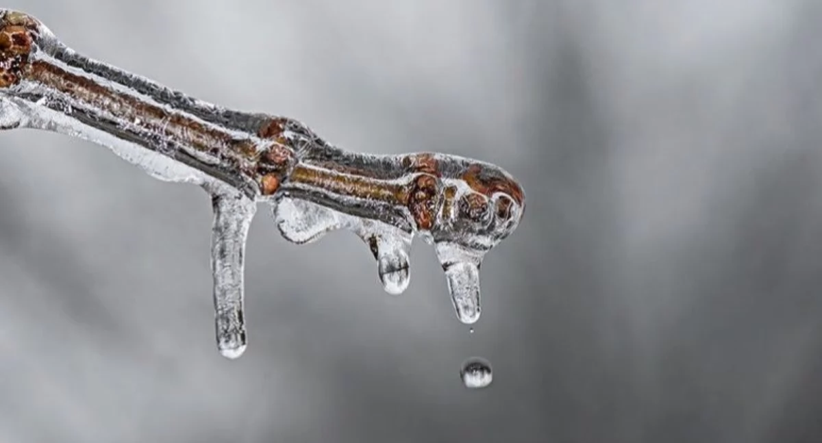 Wracają mrozy. W nocy z poniedziałku na wtorek temperatura może spaść nawet do -11°C. Ostrzeżenie IMGW 
