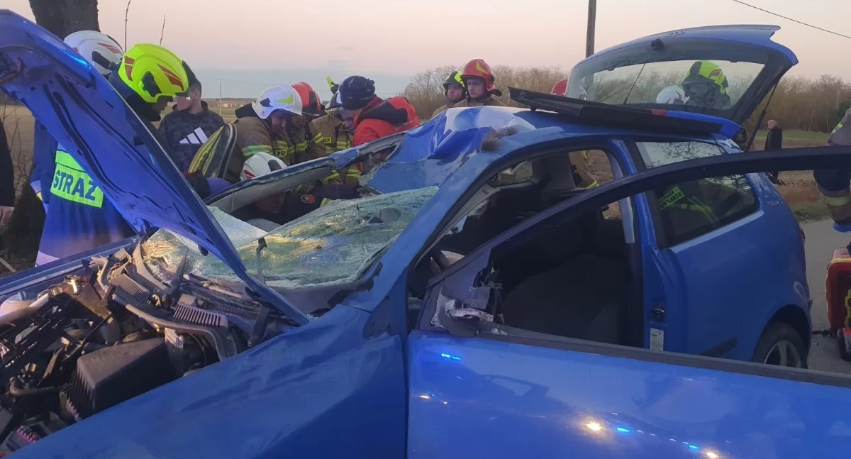 Łoś wszedł przed samochód w Nowej Wronie. Jedna osoba przetransportowana śmigłowcem LPR do szpitala