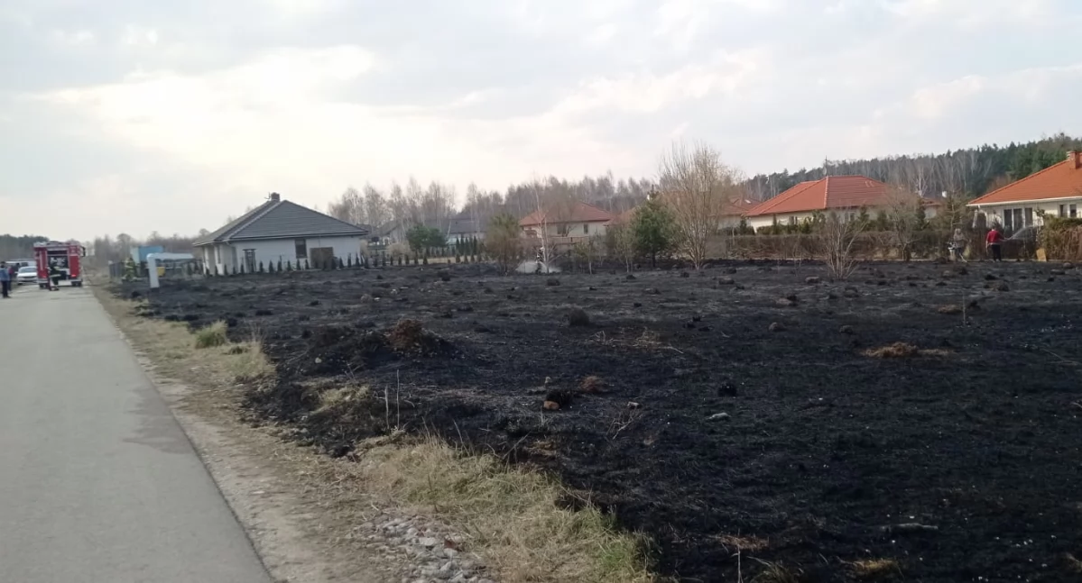 Pomiechówek. W Błędowie pożar ponad 0,5 ha traw rozprzestrzenił się na zamieszkałe posesje. Jedna osoba z poparzeniami rąk trafiła do szpitala
