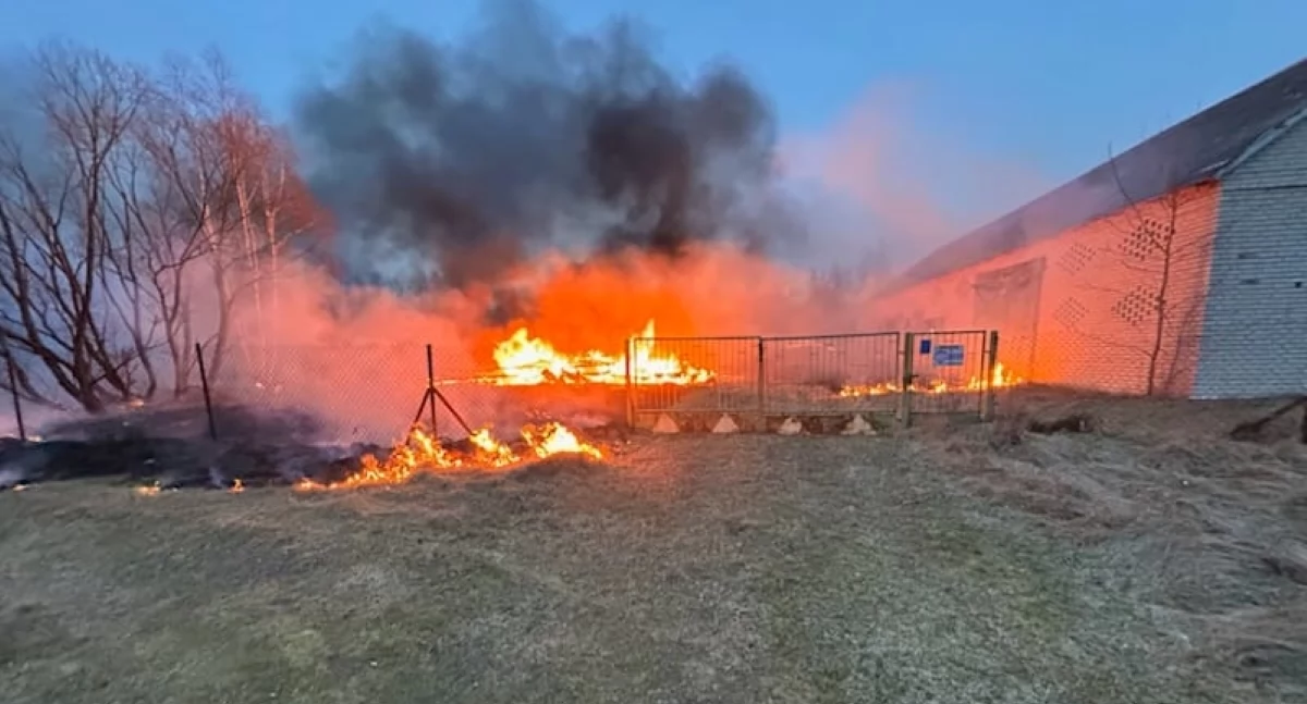 Czosnów. Pożar budynku gospodarczego w Cybulicach. Z ogniem walczyły cztery zastępy straży pożarnej