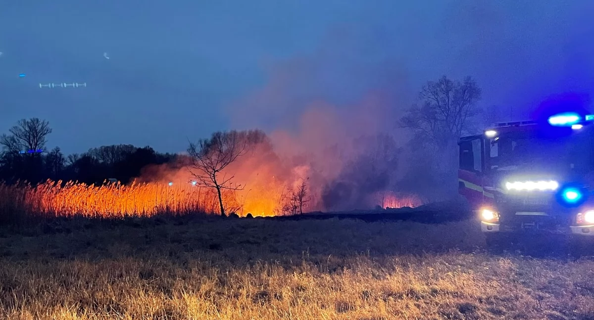 Powiat. Osiem pożarów traw, lasów i nieużytków. Spłonęło łącznie blisko 2,4 ha powierzchni