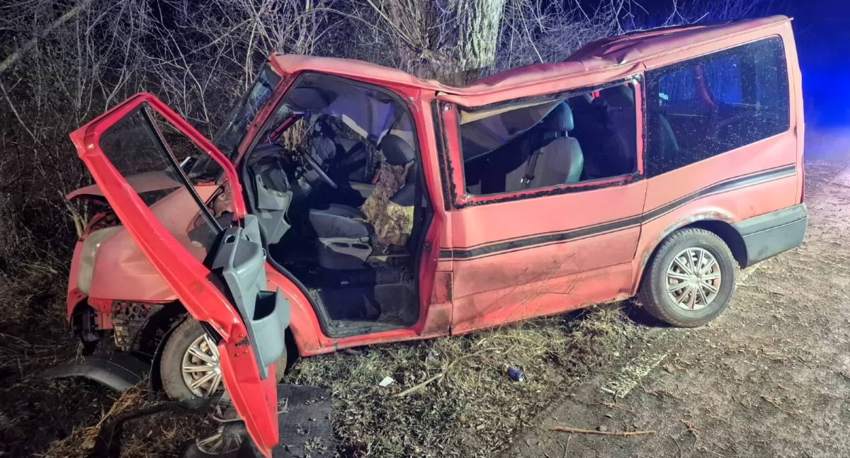 Nasielsk. W Borkowie kierowca busa zjechał z drogi i uderzył w drzewo. Strażacy wycinali z auta jedną poszkodowaną osobę 