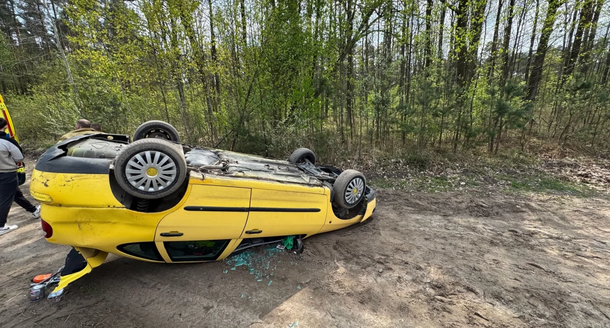 Nasielsk. W Aleksandrowie kierowca auta osobowego omijając sarnę, która wbiegła na drogę zjechał na pobocze i dachował. 25-latek został przetransportowany do szpitala