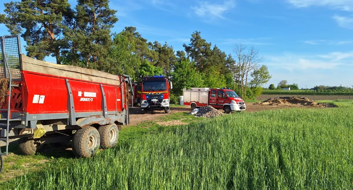 Nasielsk. Wypadek w gospodarstwie w Pianowie-Daczkach podczas załadunku bydła. Poszkodowany został przetransportowany do szpitala