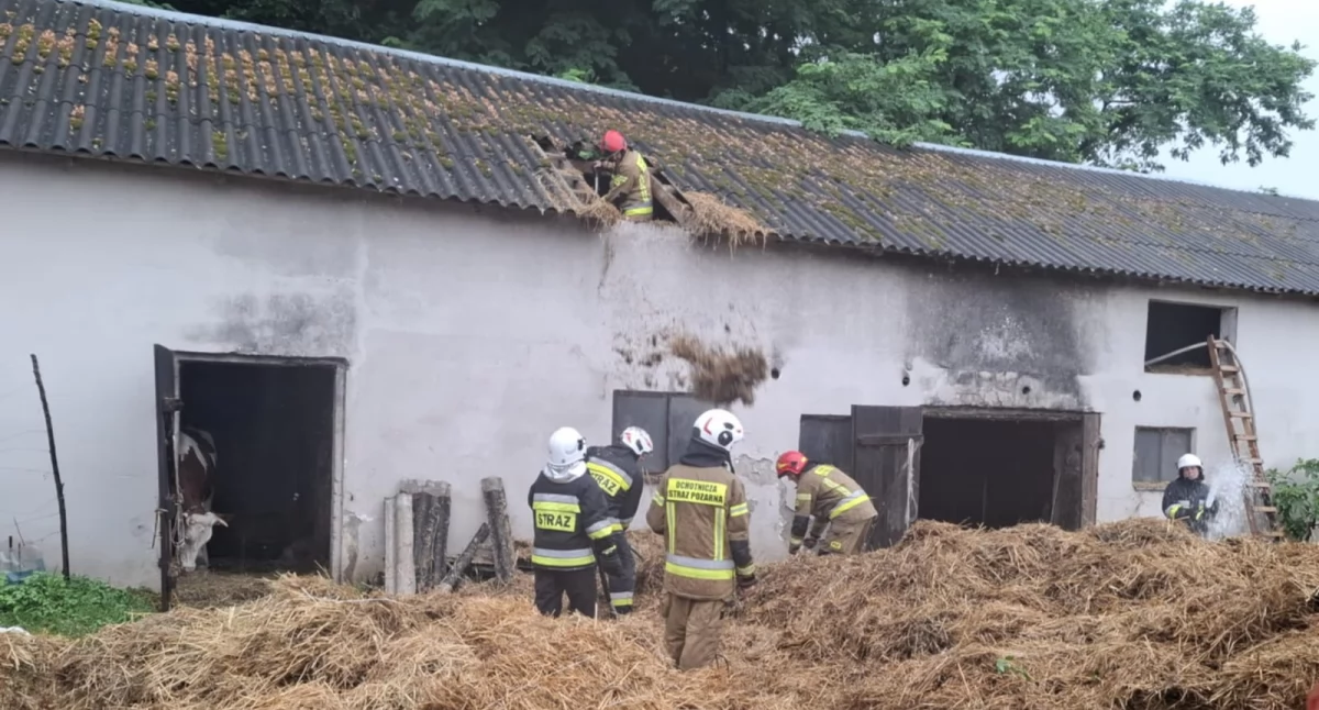 Nasielsk. Pożar obory w Pianowie Daczkach. Z ogniem walczyło osiem zastępów straży pożarnej