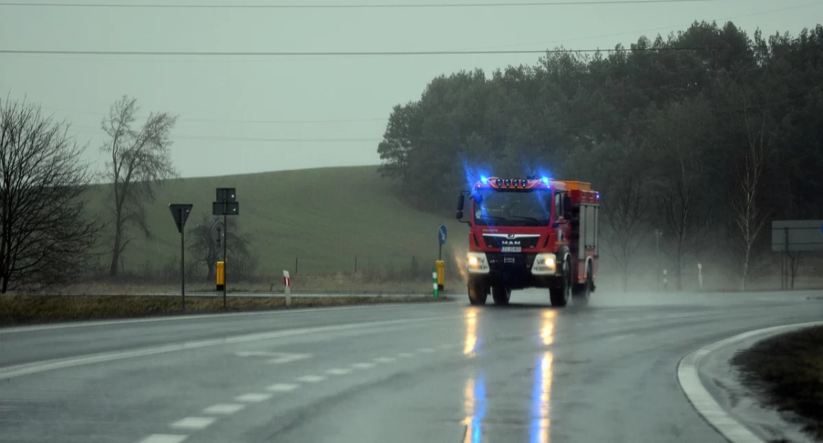 Czosnów: Pożar trawy w Łosiej Wólce – zwarcie na słupie energetycznym jako przyczyna zdarzenia
