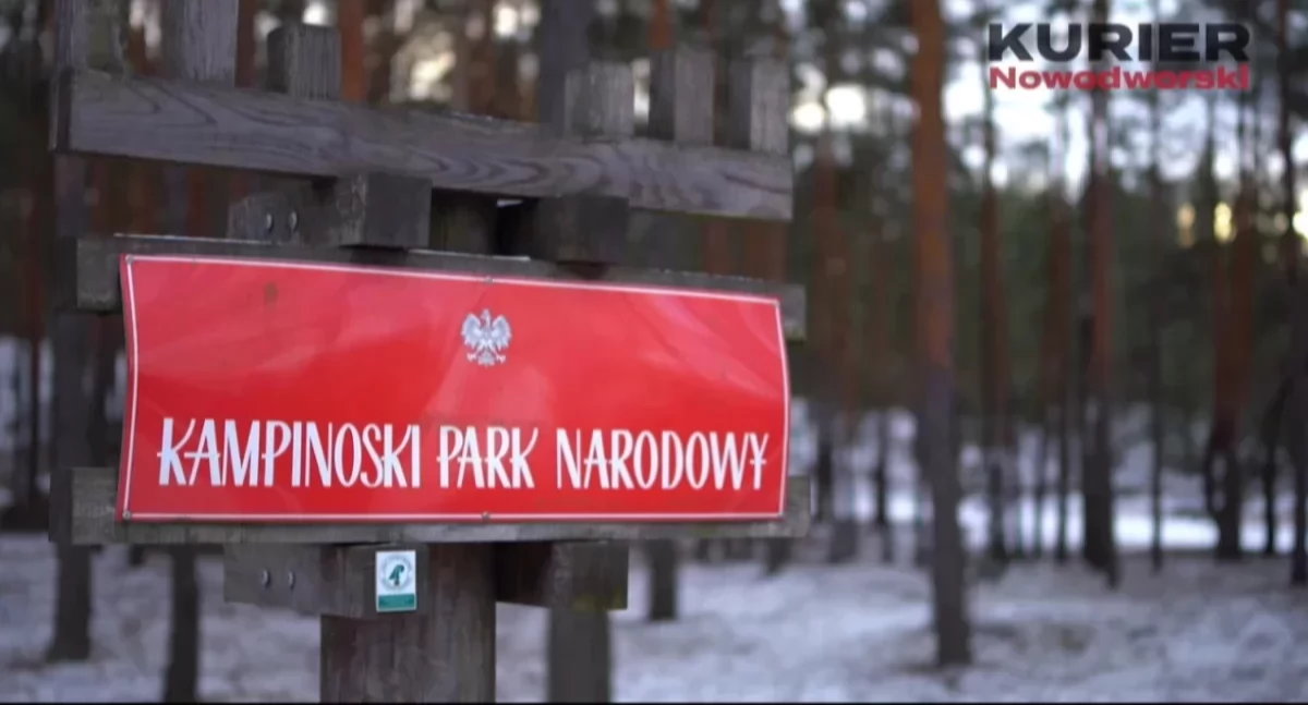 Kampinoski Park Narodowy pod okiem sztucznej inteligencji. Nowoczesny system SmokeD ma chronić las przed pożarami