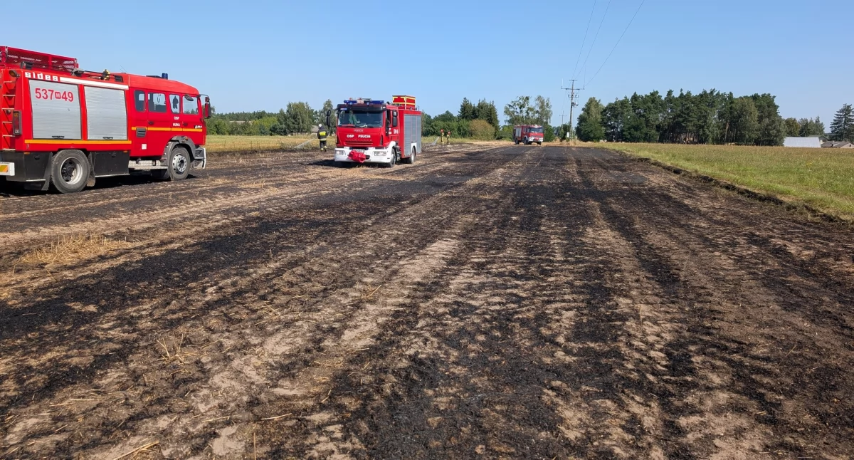 Nasielsk. Pożar rżyska w Nunie. Pomimo szybkiej interwencji strażaków płomienie zdążyły strawić 0,5 ha powierzchni