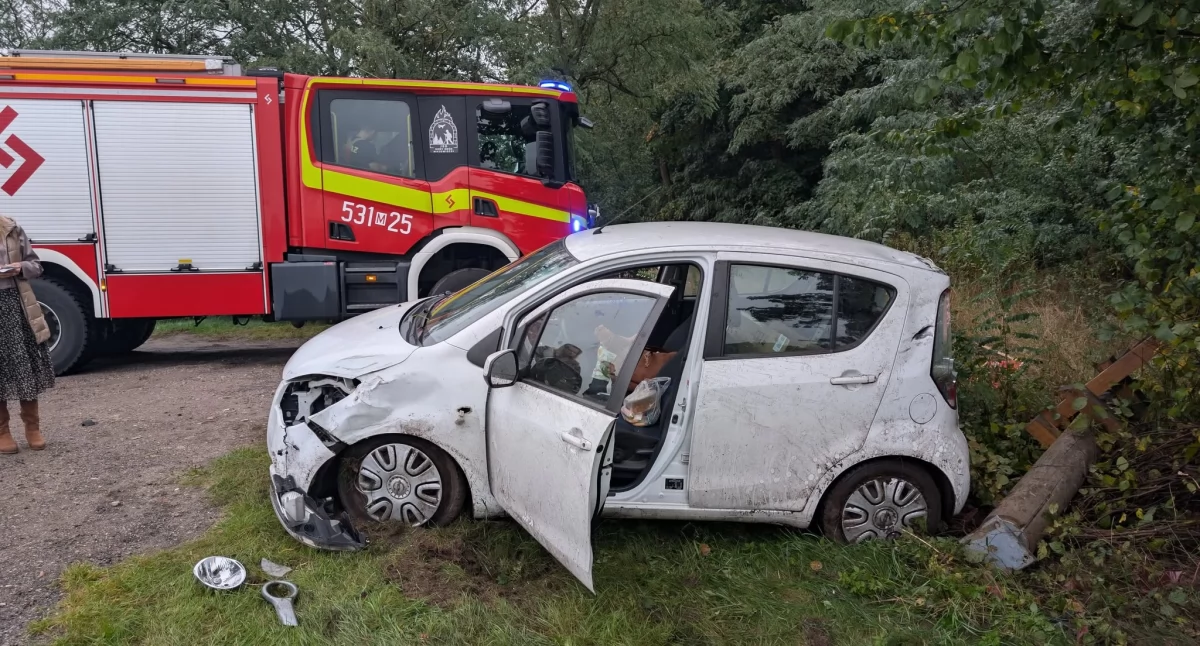 Czosnów. W Sadach kobieta kierująca autem osobowym wypadła z ulicy Głównej i uderzyła w słup. Interweniowały służby ratownicze