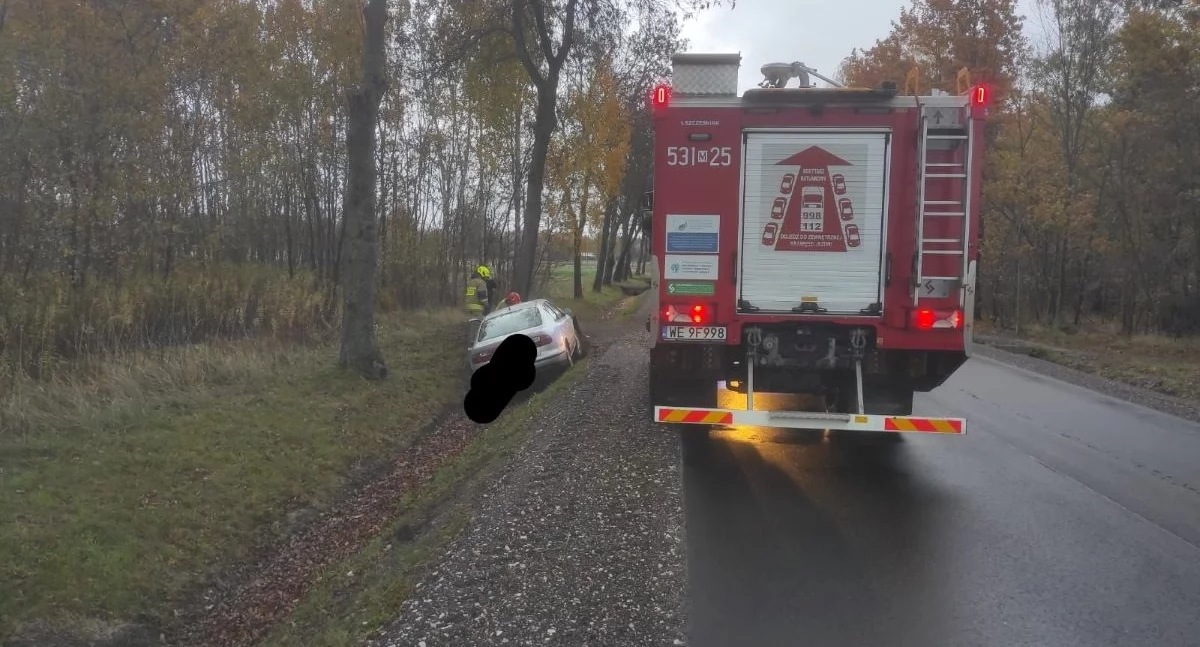 Nasielsk. Seat wypadł z drogi i wpadł do rowu przy drodze wojewódzkiej we wsi Mokrzyce Włościańskie