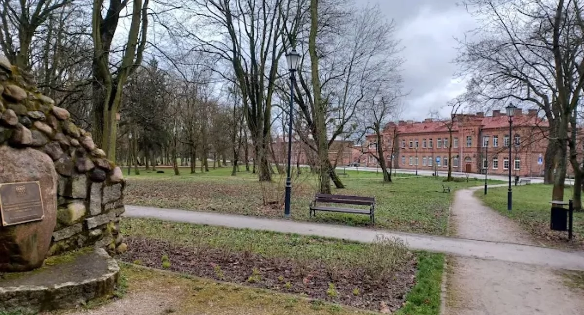 Nowy Dwór Mazowiecki. Uszkodzone drzewo zagrażało bezpieczeństwu publicznemu w Parku Trzech Kultur przy Ledóchowskiego. Strażacy wycięli drzewo