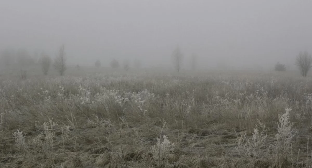 Śnieg i temperatury od 0°C do 2°C. Zapowiada się chłodny weekend 