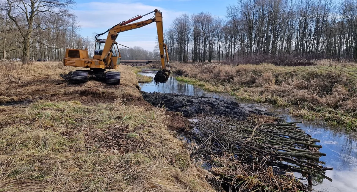 Ruszyły prace nad naturyzacją Łasicy. „Kampinoskie Bagna 2” wchodzi w nowy etap