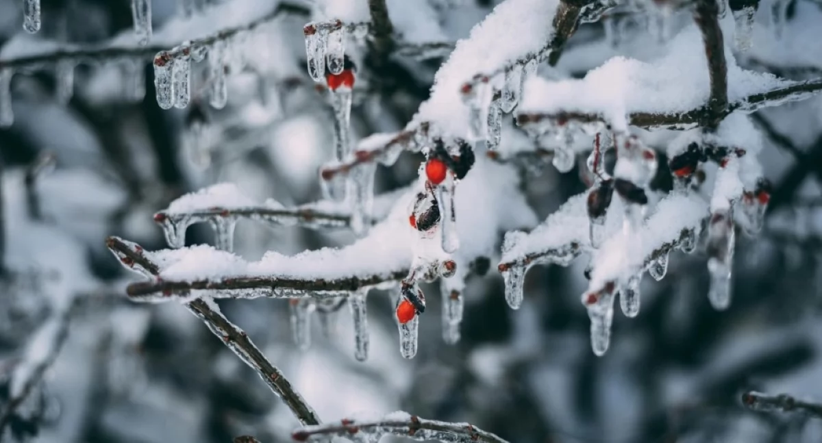 Przed nami pochmurny i mroźny weekend z przelotnymi opadami śniegu w niedzielę. Termometry wskażą od -3°C do -8°C w ciągu dnia