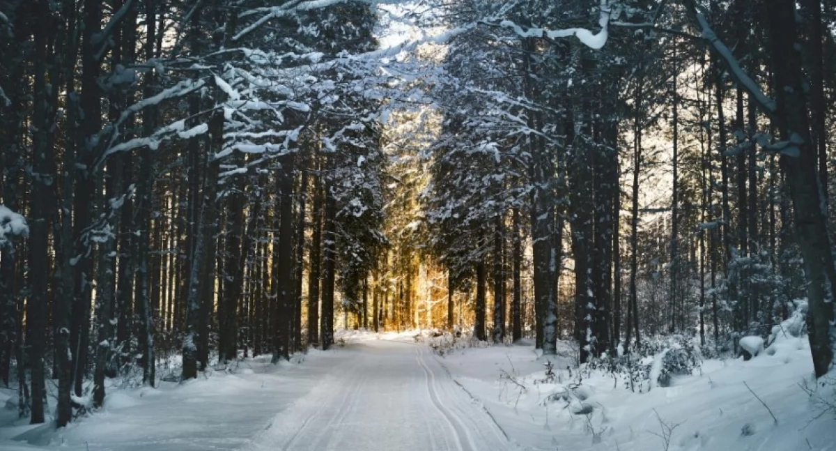 Przed nami słoneczny weekend z temperaturą od -1°C do -6°C w ciągu dnia