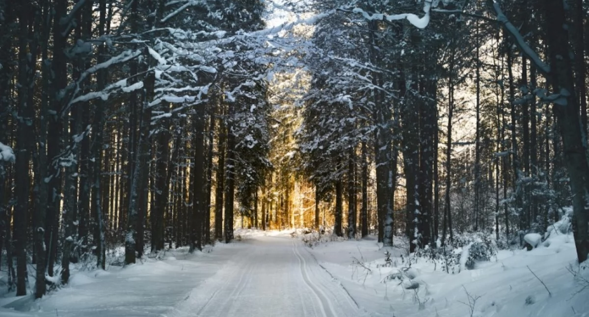 Weekend w powiecie nowodworskim zapowiada się przeważnie słonecznie, ale mroźno z temperaturą od -6°C do -13°C w ciągu dnia