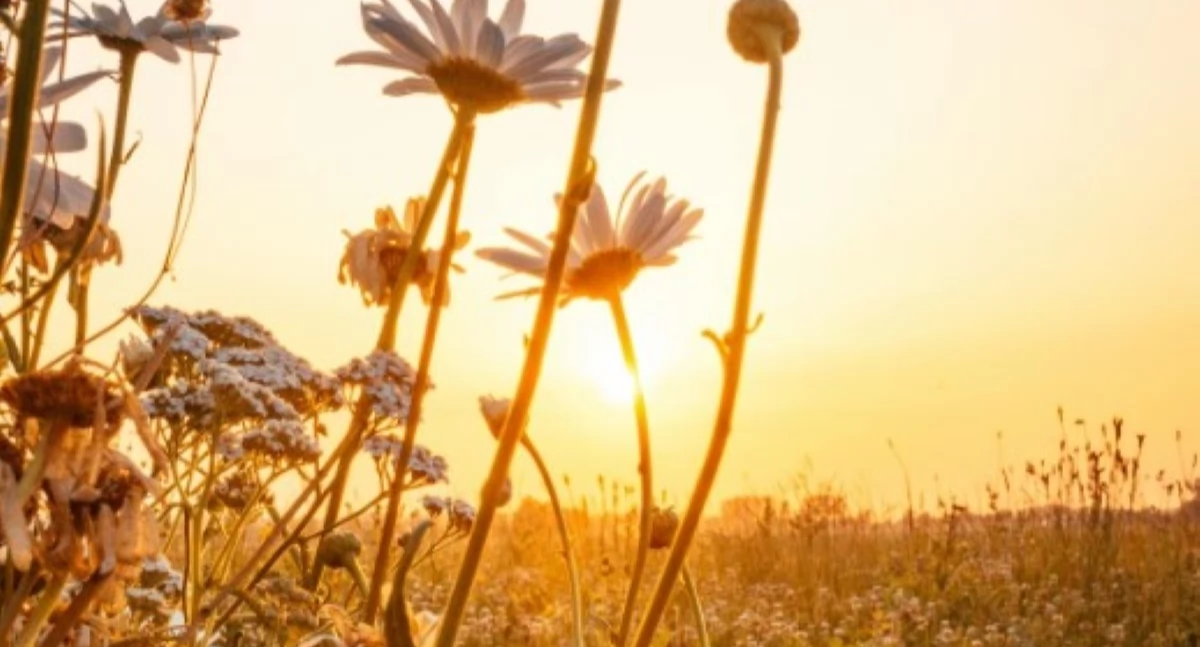 Weekend w powiecie nowodworskim zapowiada się przeważnie słonecznie z temperaturą do 13°C