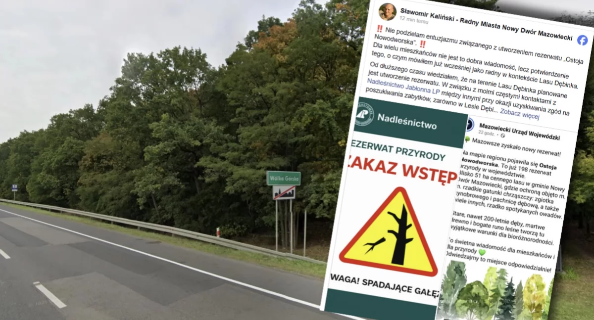 Nowy rezerwat w Lesie Dębinka budzi kontrowersje – radny Kaliński ostrzega o ograniczeniach i zagrożeniach