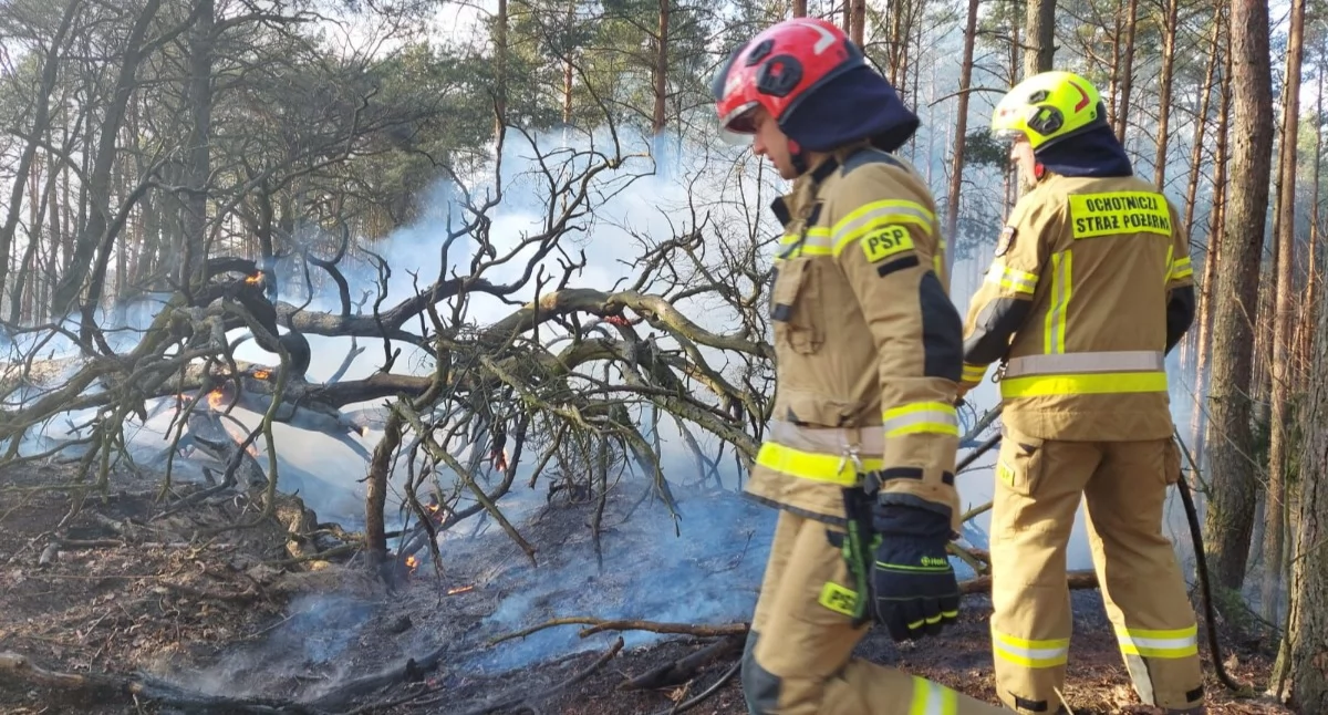 Powiat. Pożary traw i poszycia leśnego w Cybulicach, Zakroczymiu, Smoszewie, Palmirach i Cieksynie. Interweniowały zastępy straży pożarnej