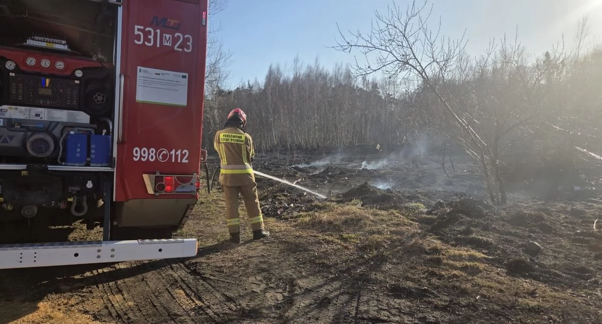 Zakroczym. Ogień strawił trawy i nieużytki rolne we wsi Wólka Smoszewska
