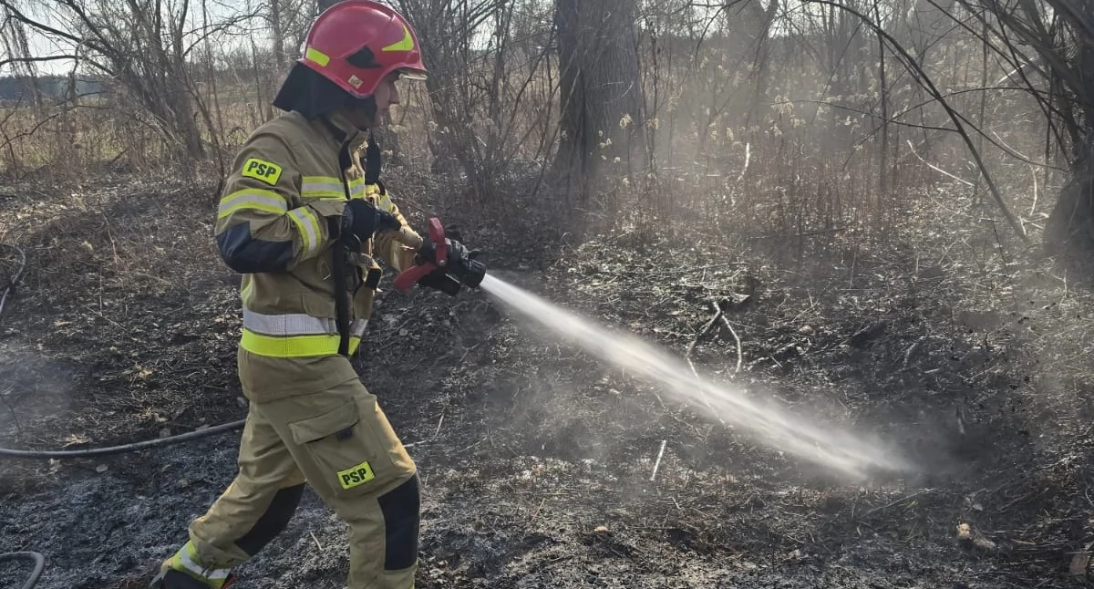 Czosnów. Pożary traw przy Wałowej i Promiennej w Sadach. Interweniowali strażacy