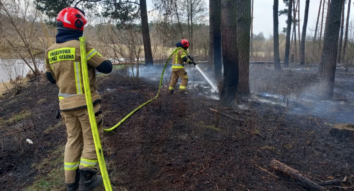 Powiat. Pożary traw i nieużytków rolnych w Cząstkowie Mazowieckim, Błędowie, Nowych Grochalach, Secyminie Polskim i Sadach. Spłonęło blisko 5000 m2 powierzchni