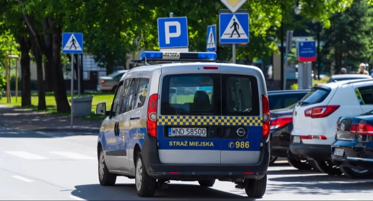 Nowy Dwór Mazowiecki. Dzik z pianą na ryju decyzją Powiatowego Lekarza Weterynarii został odstrzelony. Wyniki badań zwierzęcia powinniśmy poznać w ciągu kilku dni