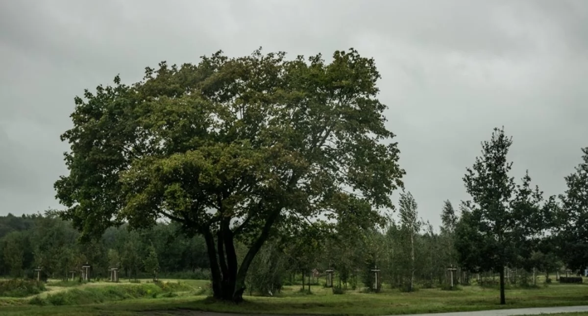 Pogoda w powiecie nowodworskim: Przed nami przeważnie pochmurny weekend z temperaturą do 14°C