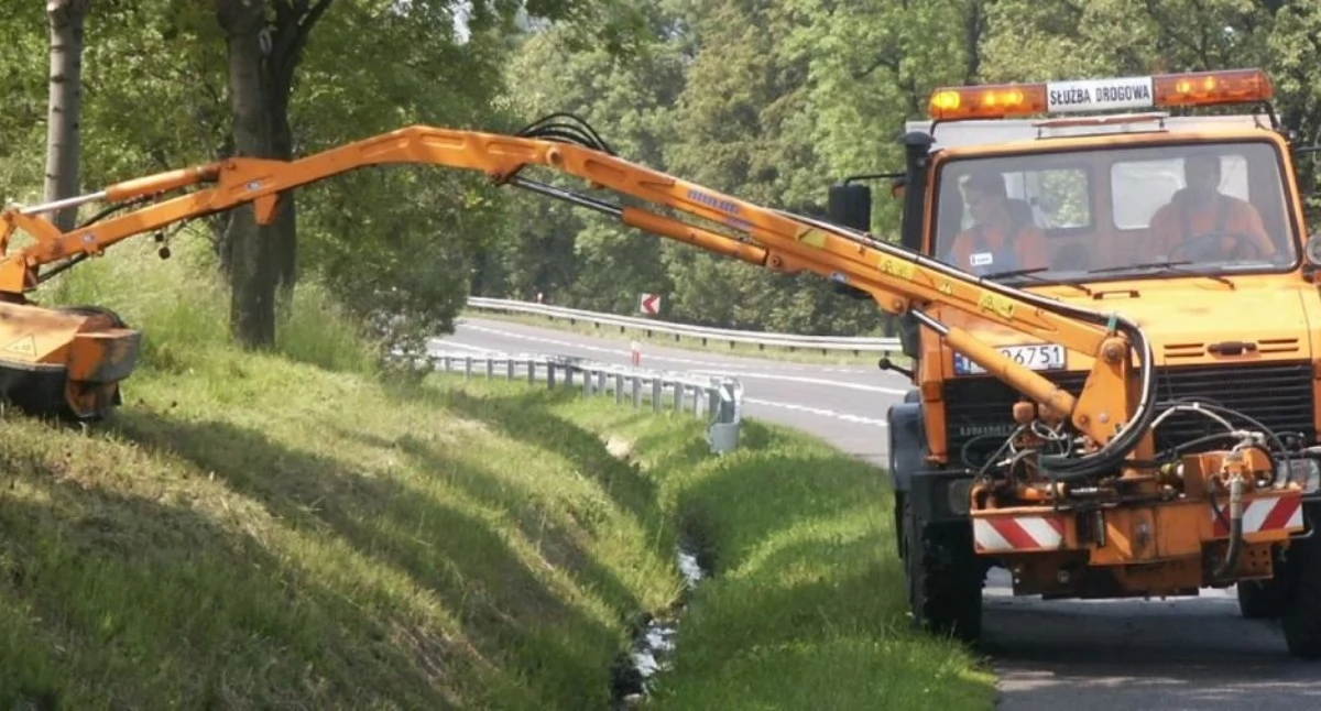 Powiat planuje wydać 532 tys. zł na utrzymanie zieleni przy drogach w 2026 r. Kiedy rozpoczną się prace?