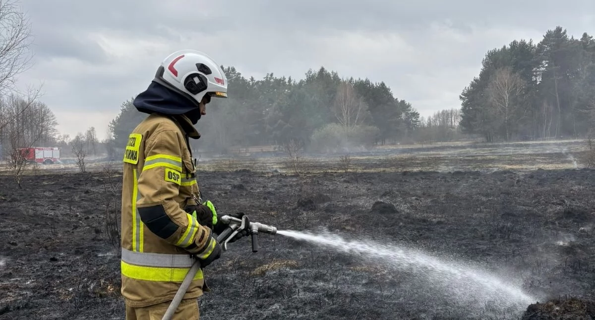 Leoncin. Ogień strawił trawy i część lasu we wsi Stara Dąbrowa