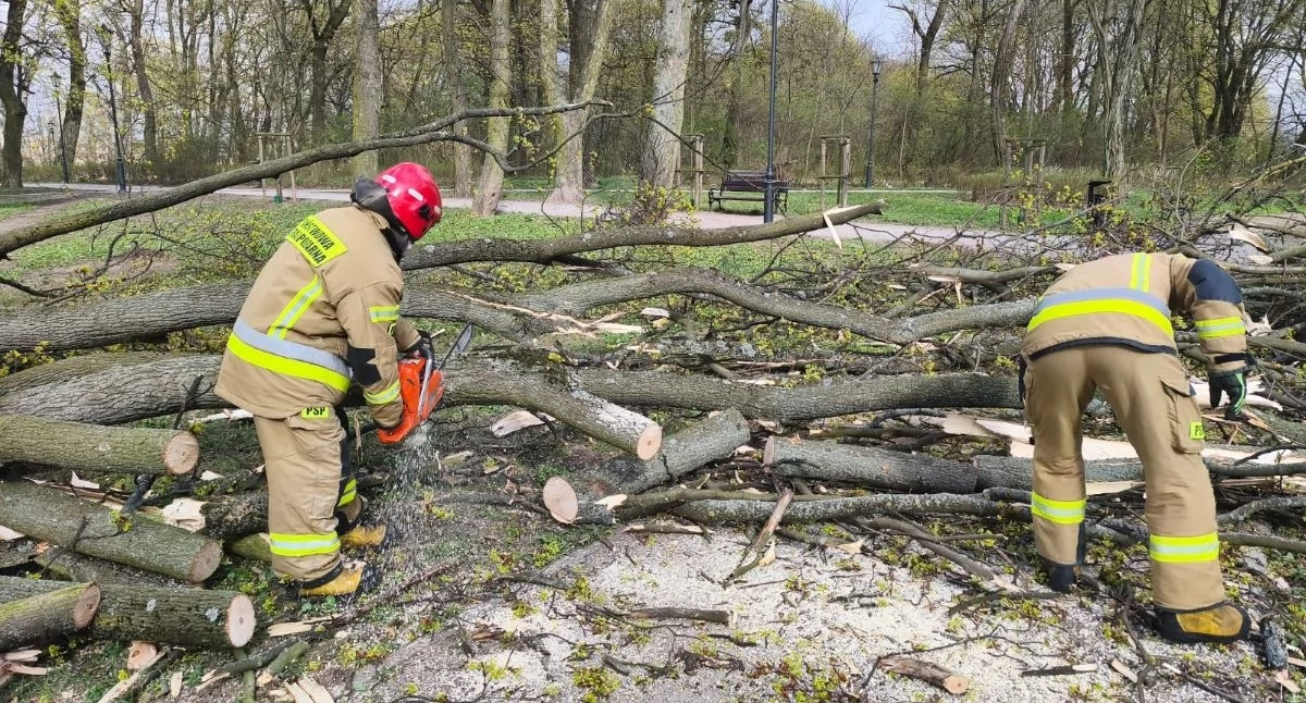 Silne wiatry w powiecie nowodworskim – strażacy kolejny dzień w akcji