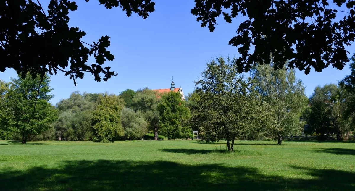 Zakroczym. Aż 14 firm jest gotowych zbudować Park Topólki. Wszystkie oferty przekraczają jednak zaplanowany budżet