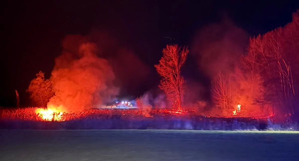 Czosnów. Pożar trawy i trzciny nad Wisłą. Spaleniu uległo ok. 0,5 ha powierzchni. Służby podejrzewają podpalenie