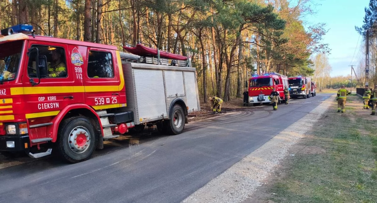 Nasielsk. Z pożarem lasu w Cieksynie walczyło siedem zastępów straży pożarnej. Spaleniu uległo ok. 4000 m2 powierzchni
