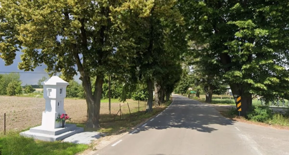Gmina Zakroczym przejmuje zarządzanie fragmentem drogi powiatowej 2414W, aby zbudować wzdłuż niej chodnik dla pieszych i drogę rowerową