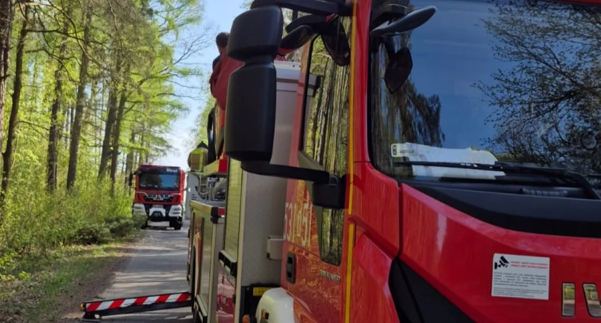 Strażacy walczyli z pożarami traw, krzaków i nieużytków rolnych w powiecie nowodworskim