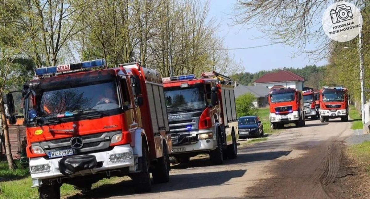 Leoncin. Pożar lasu w Starych Grochalach. Z ogniem walczy kilka zastępów straży pożarnej (aktualizacja)