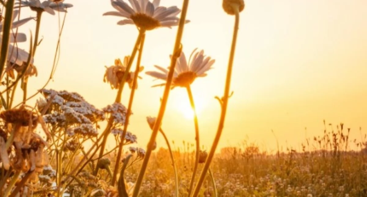 Majówka w powiecie nowodworskim będzie słoneczna i z temperaturą nawet do 28°C!
