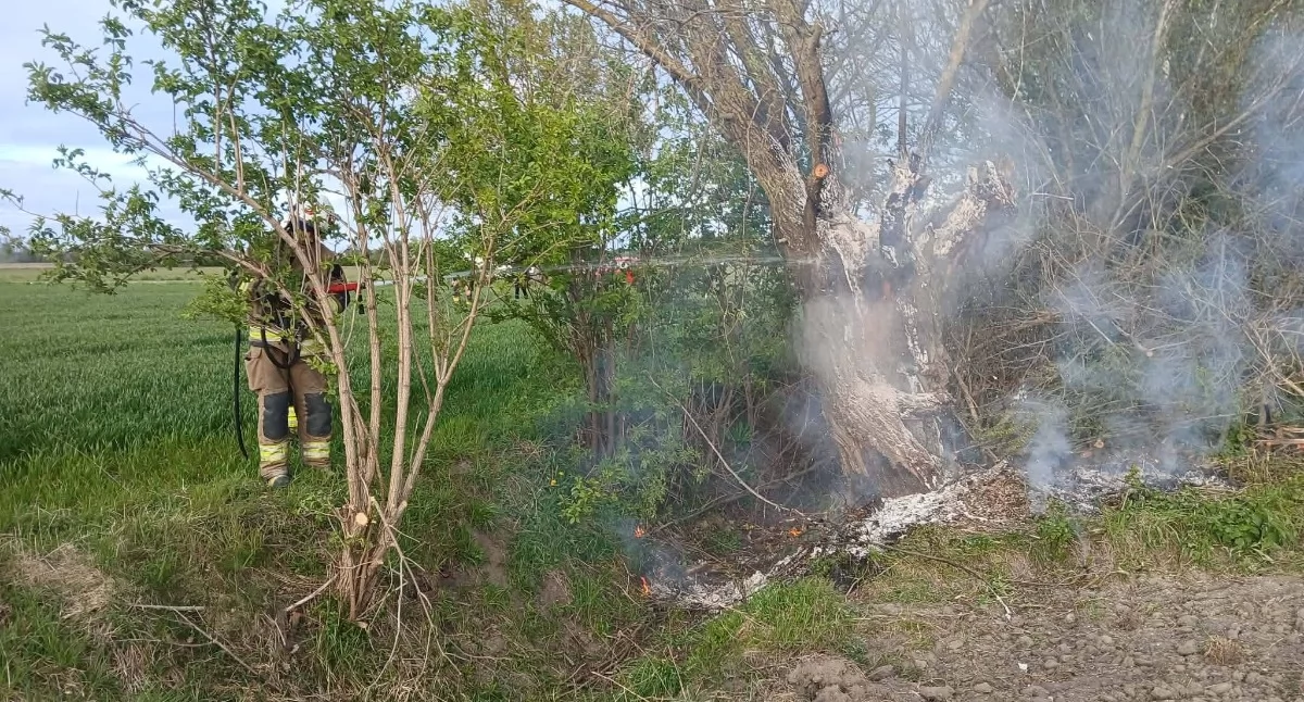 Nasielsk. Pożar trawy i drzewa w Studziankach. Interweniowali strażacy ochotnicy i policjanci