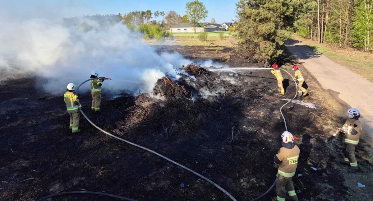 Nasielsk. Pożar trawy i składowanego drewna w Toruniu Dworskim. Spłonęło około 0,5 ha powierzchni